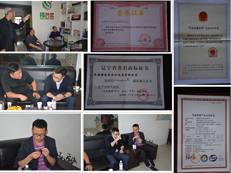 火星电竞·(中国区)有限公司官网