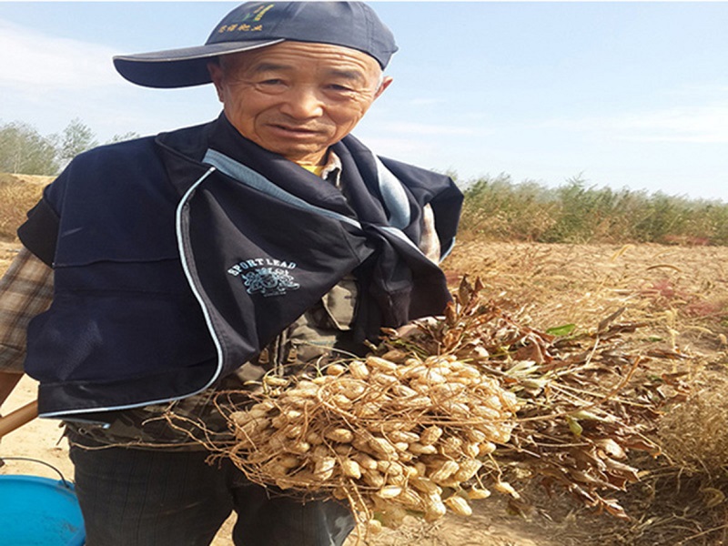 火星电竞·(中国区)有限公司官网