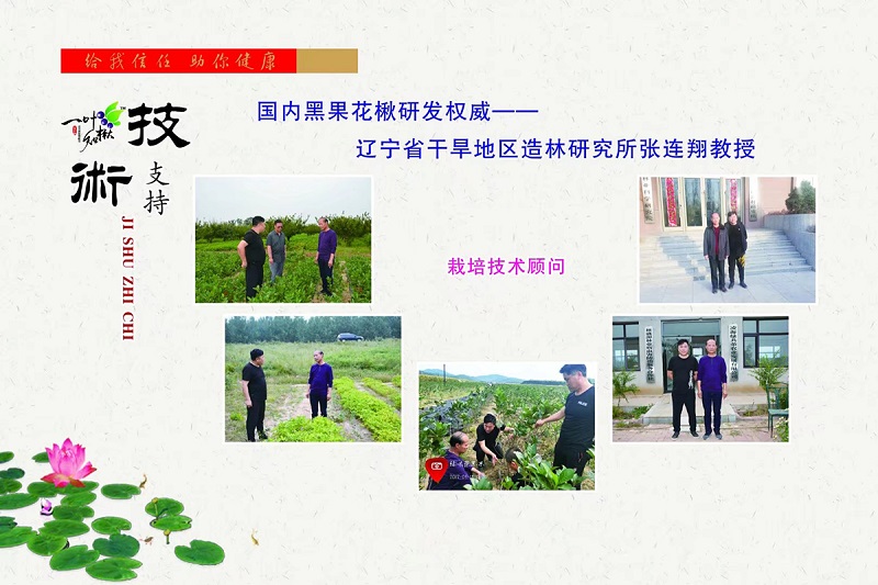 火星电竞·(中国区)有限公司官网